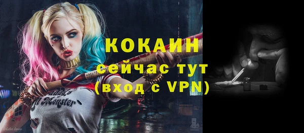 круглые Абаза