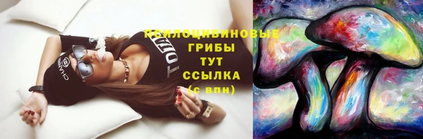 гидропоника Абинск